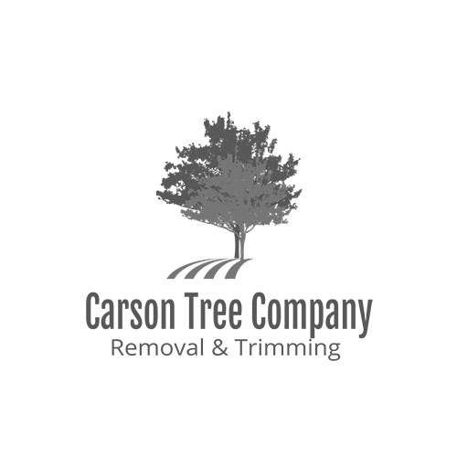 Logo of Carson Tree Company with a tree graphic and the text "Removal & Trimming" below the company name.
