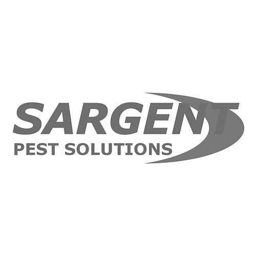 Sargent Pest Solutions logo in gray with a stylized swoosh graphic to the right of the text.