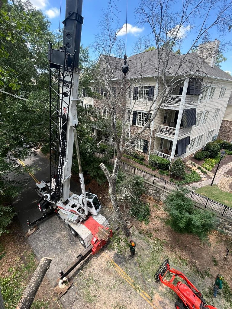 A crane lifts a large tree trunk near an apartment building as workers cut and remove the tree.