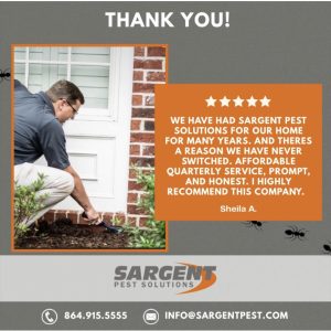A technician sprays pesticide outside a home; customer review and Sargent Pest Solutions contact info are shown.