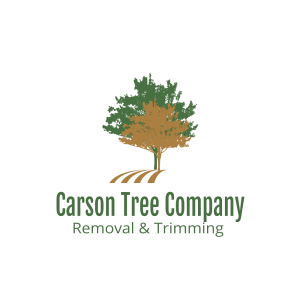 Logo with a green and brown tree above "Carson Tree Company Removal & Trimming" in green text.