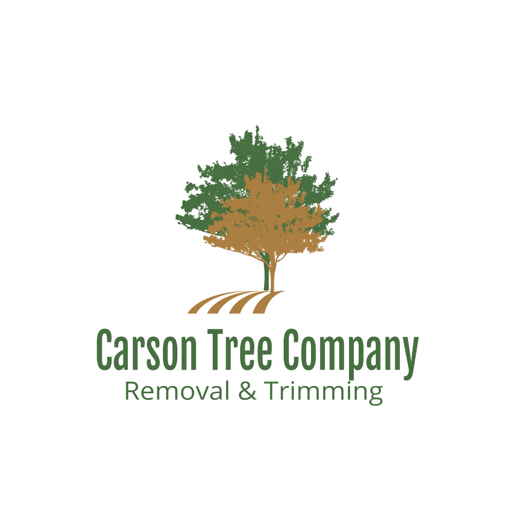Logo with a green and brown tree above "Carson Tree Company Removal & Trimming" in green text.