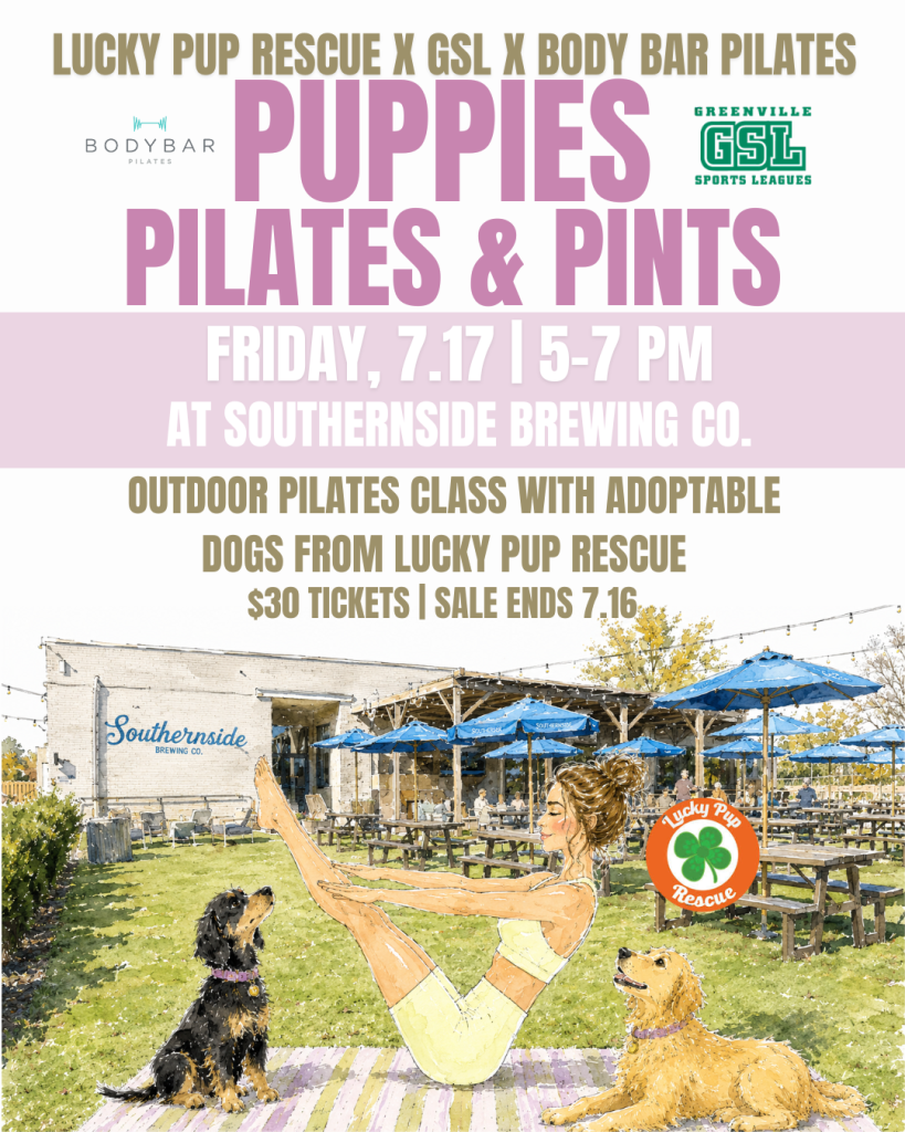 A woman does pilates outside at a brewery, surrounded by dogs, with event details for “Puppies, Pilates & Pints.”.