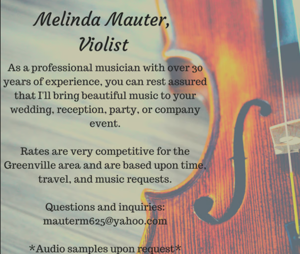 🎻 Live String Music 🎻
