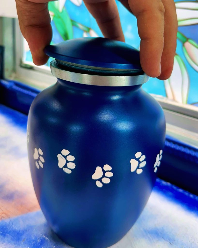 A hand touches a blue urn with white paw prints, near a window with blue and white floral decor.