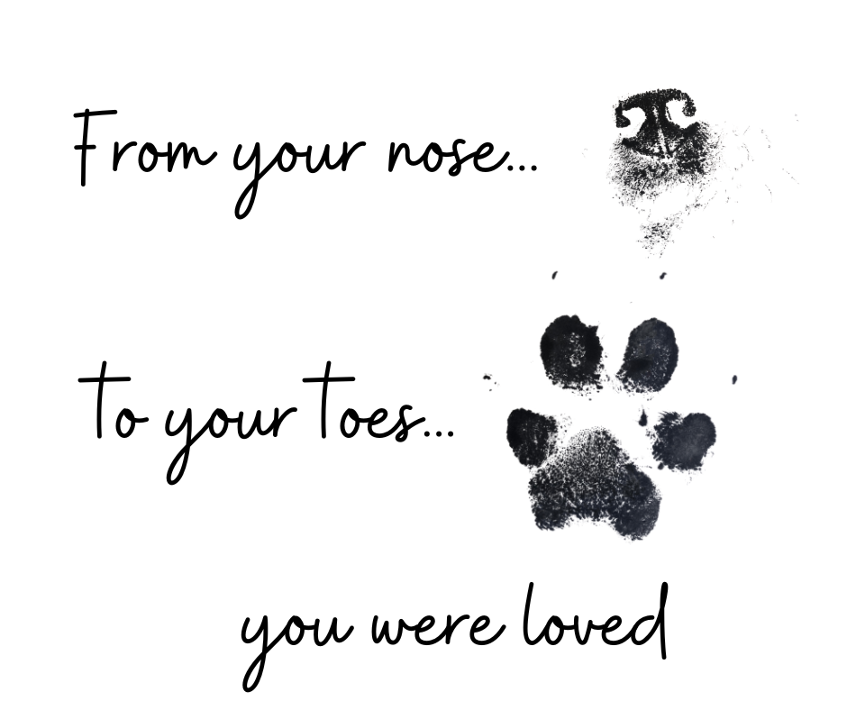 Dog nose and paw prints with the text: “From your nose... To your toes... you were loved”.