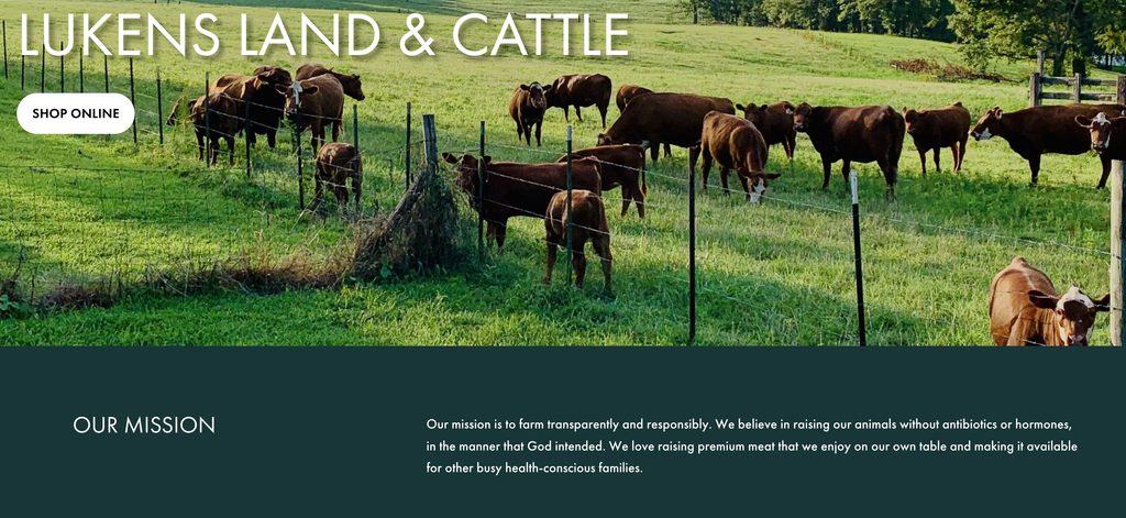 Cows grazing in a green pasture behind a wire fence under a blue sky with trees in the background.