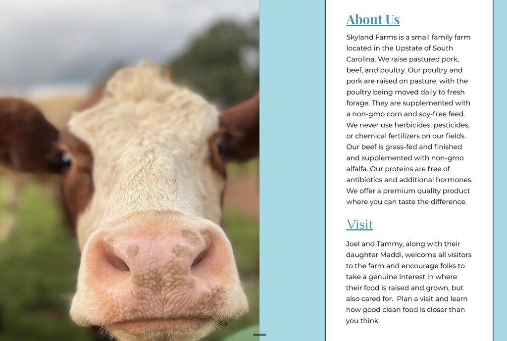 Close-up of a cow’s face on the left, with farm information and a welcome message on the right.