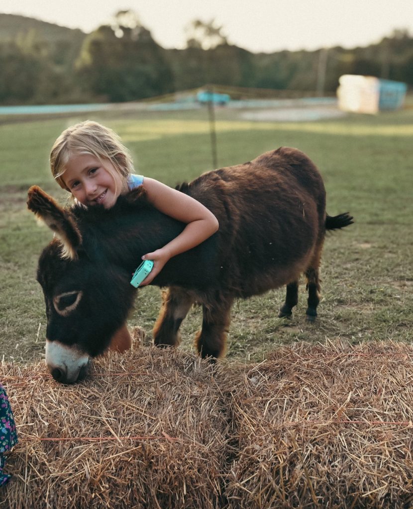 Smiling child hugs a small brown donkey eating hay in a sunny outdoor field.