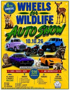 Colorful auto show flyer with animals, cars, and event details. Text reads “Wheels for Wildlife Auto Show.”.