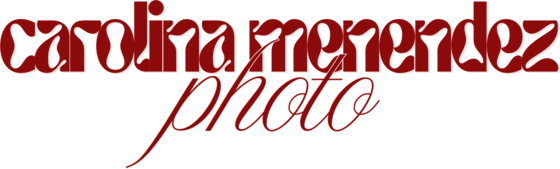 Carolina Menendez Photo logo