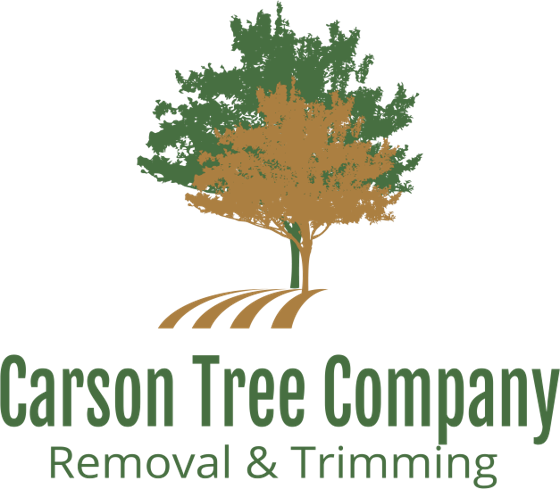 Carson Tree Company logo